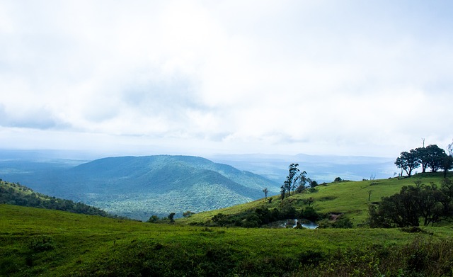 拜仁太子！穆夏拉有望同拜仁完成续约，年薪将达到2500万欧元.